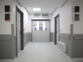 mri8